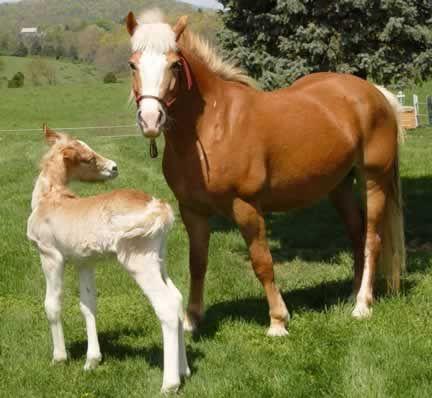 YBfL05LwLhjiXoFJGPw464rz.jpeg:Amazon:photo